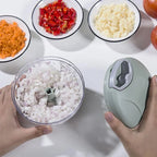 Manual Meat & Vegetable Mincer Hand Chopper